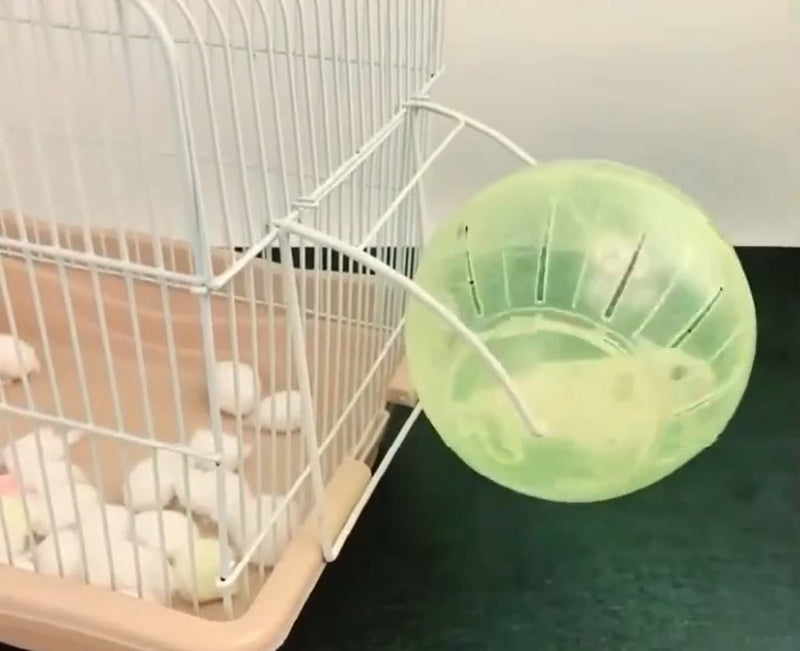 ANYWAGS Pet Toys Yellow Hamster Mouse Soft Running Ball