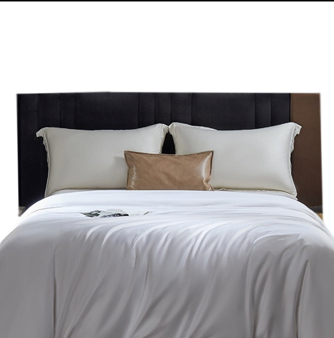 Anycozy Duvet Cover Premium Soft Mulberry Silk Blanket Comforter