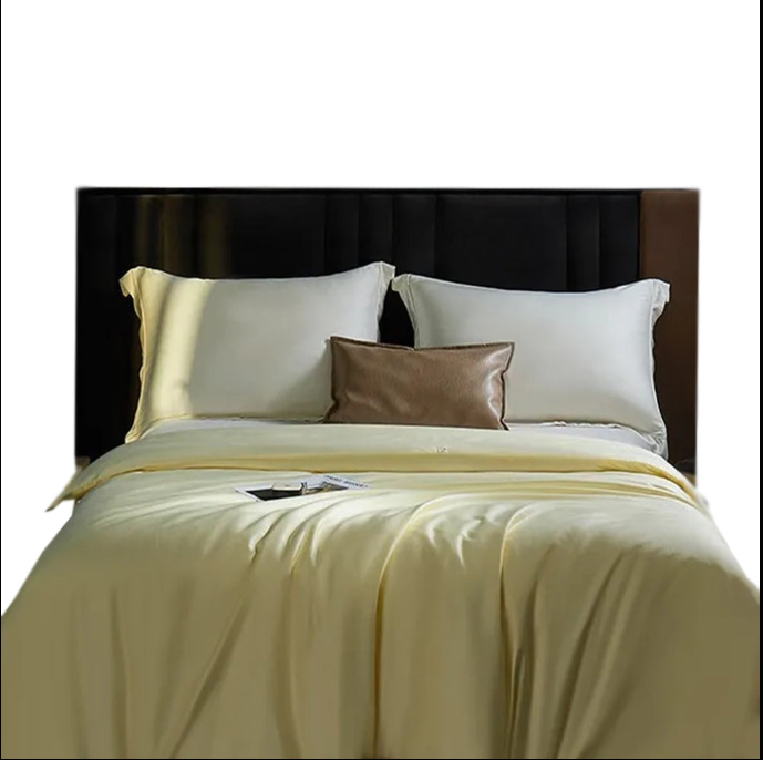 Anycozy Duvet Cover Premium Soft Mulberry Silk Blanket Comforter