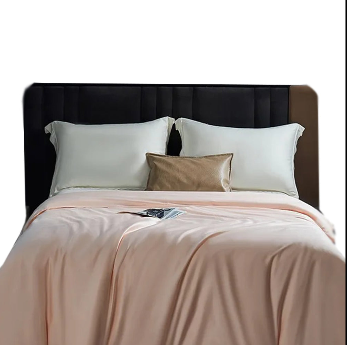 Anycozy Duvet Cover Premium Soft Mulberry Silk Blanket Comforter