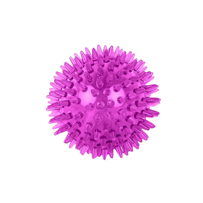 ANYPET Durable Rubber Chew Ball – Purple Dog Toy for Healthy Play & Training