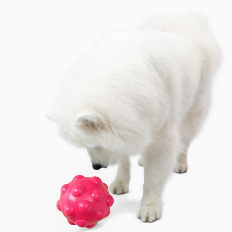 ANYWAGS Pet Toys Safety Rubber Teething Ball Accessories Chew For Dogs