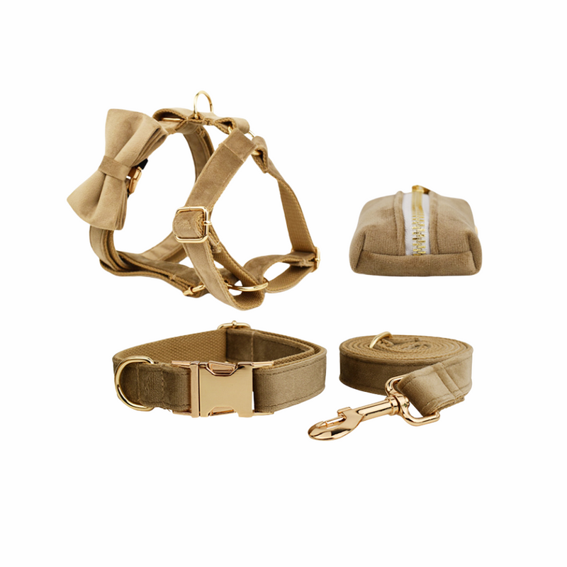 ANYWAGS Pet Collar Leash Set Beige High Quality Custom Dog Accessories