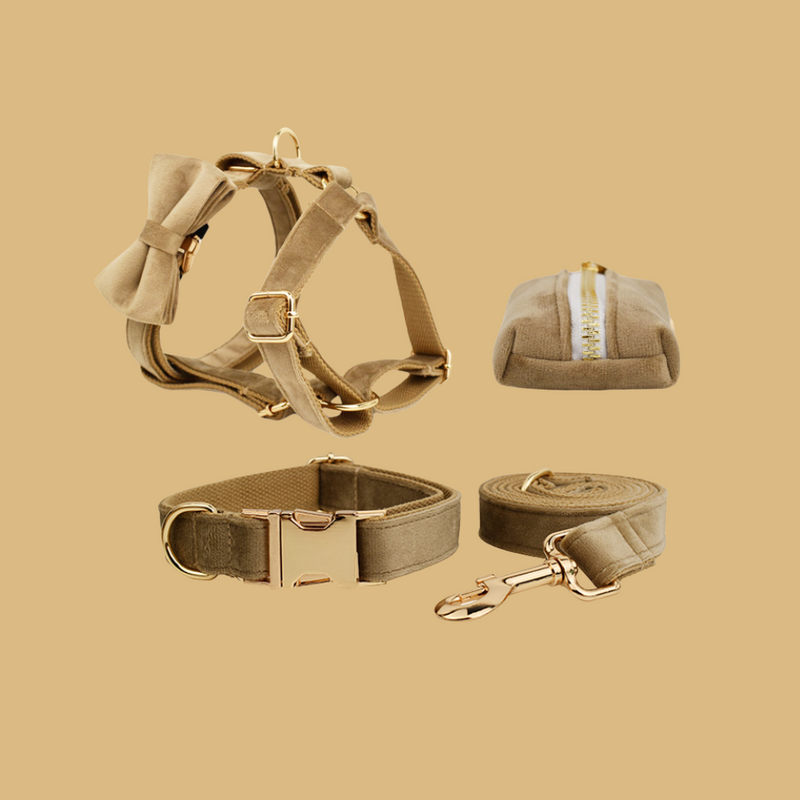 ANYWAGS Pet Collar Leash Set Beige High Quality Custom Dog Accessories