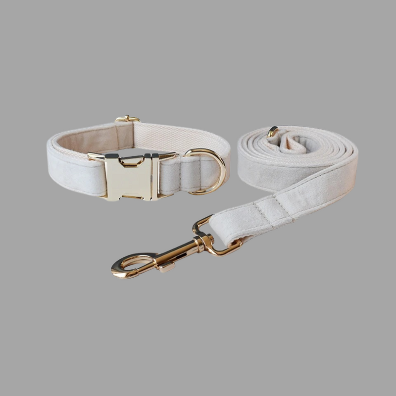 ANYWAGS Pet Collar Leash Set White Supplies Dog Accessories