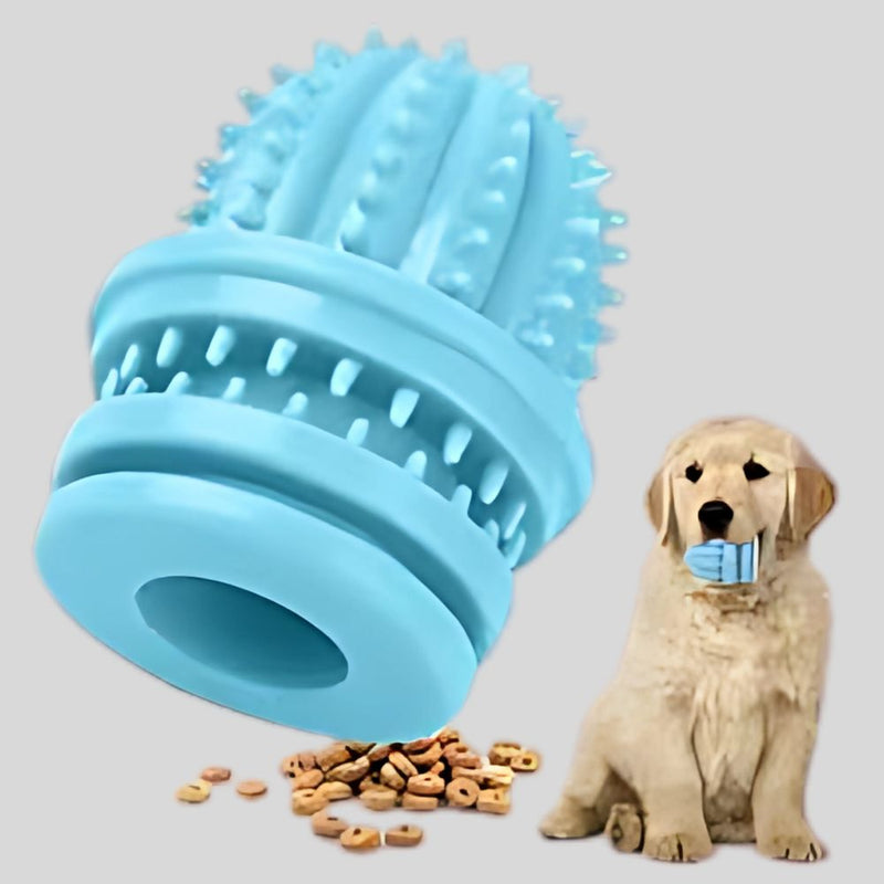 ANYWAGS Pet Toys Newest Clean Teeth Safety TPR Cactus Training Fetch
