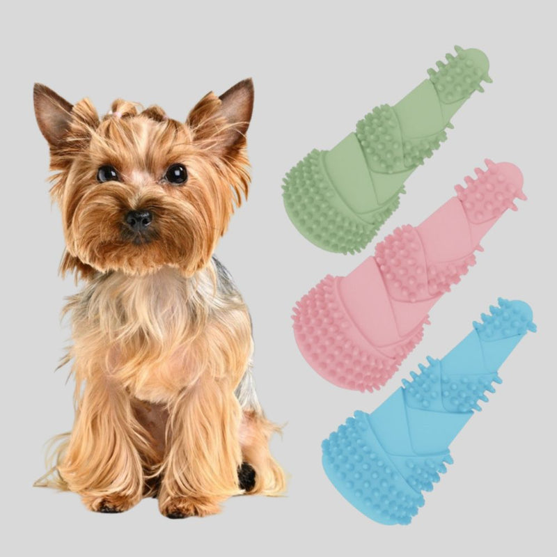 ANYWAGS Pet Toys Newest Clean Teeth Safety TPR Bamboo Training Fetch