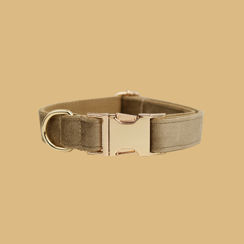 ANYWAGS Pet Collar Beige Custom DIY Accessories