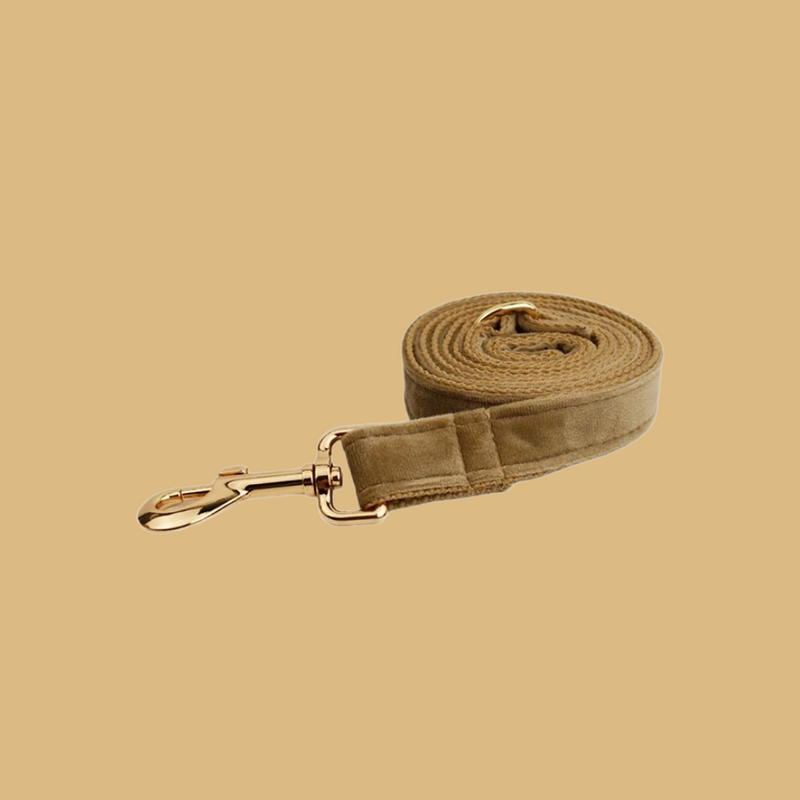 ANYWAGS Pet Leash Beige Supplies Dog Accessories