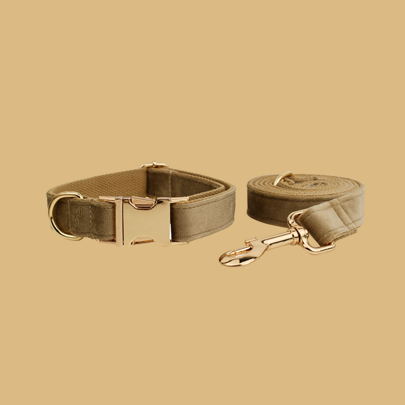 ANYWAGS Pet Collar and Leash Set Beige High Quality Dog Accessories