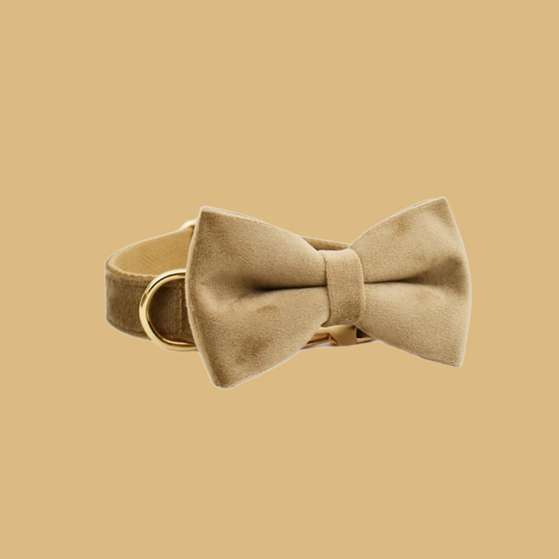 ANYWAGS Pet Bow Collar Beige High Quality Dog Accessories