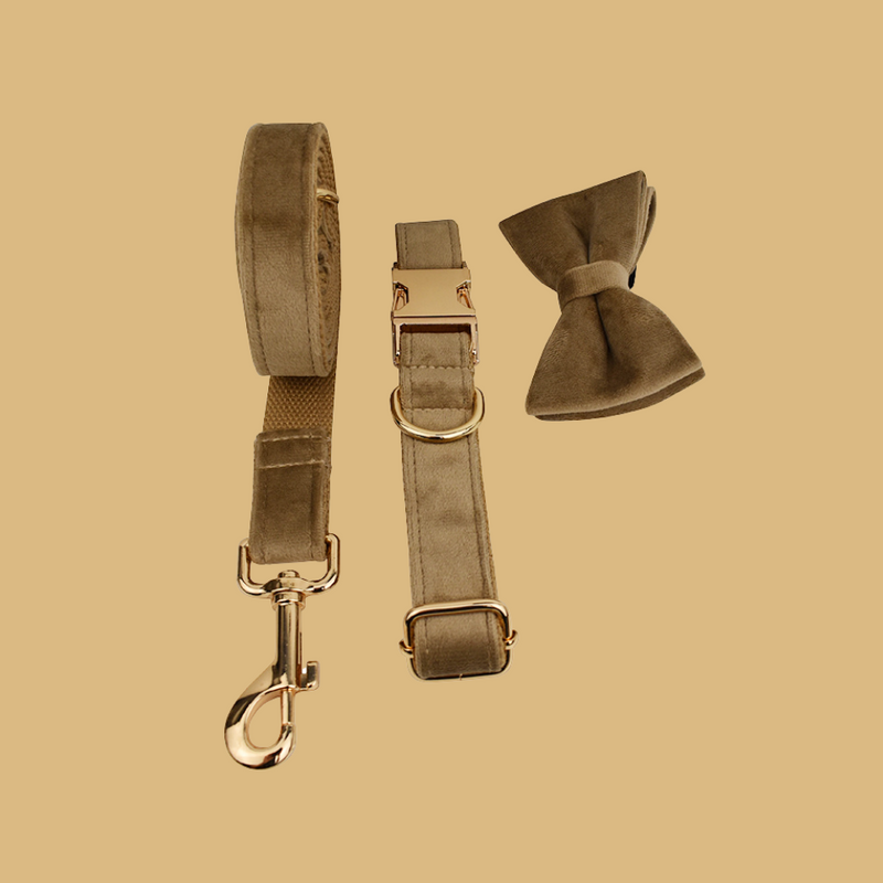 ANYWAGS Pet Bow Collar Leash Set Beige High Quality Dog Accessories