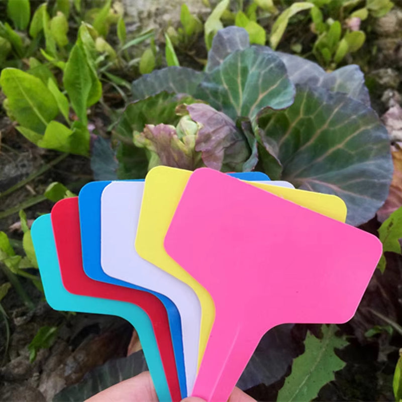 Anygreen Garden Plant Labels 60PCS Multi Color Plastic T Type Tags Home Gardening