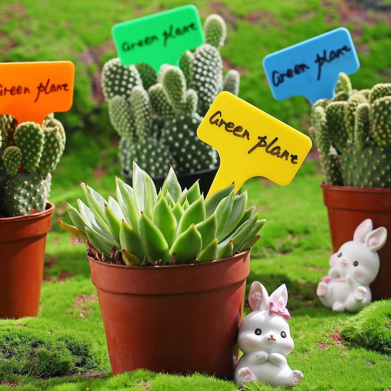Anygreen Garden Plant Labels 60PCS Multi Color Plastic T Type Tags Home Gardening