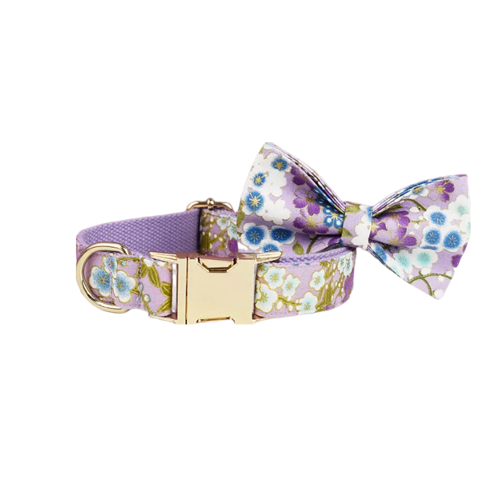 ANYWAGS Pet Bow Collar Purple Floral Stylish Accessory with Safety Buckle Durable Strap