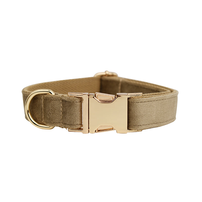 ANYWAGS Pet Collar Beige Custom DIY Accessories