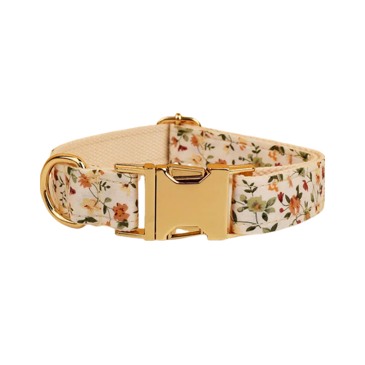 ANYWAGS Pet Collar White Floral Stylish Accessory with Safety Buckle Durable Strap