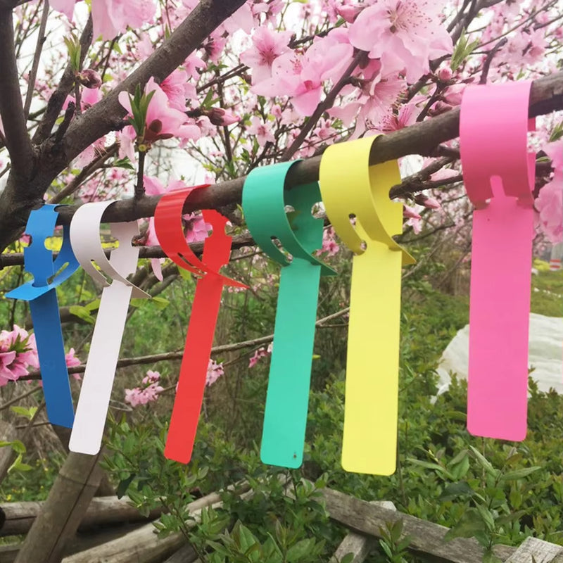 Anygreen Garden Plant Labels 100PCS Reusable Waterproof Plastic Tags for Home Gardening