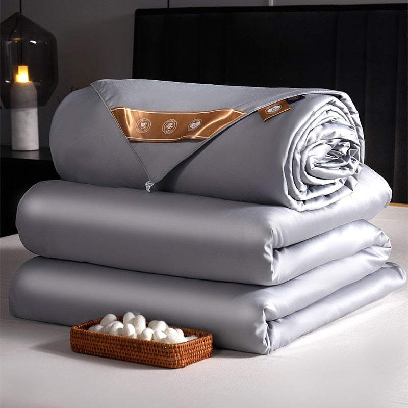 Anycozy Duvet Cover Gray Premium Soft Mulberry Silk Blanket Comforter 4000G