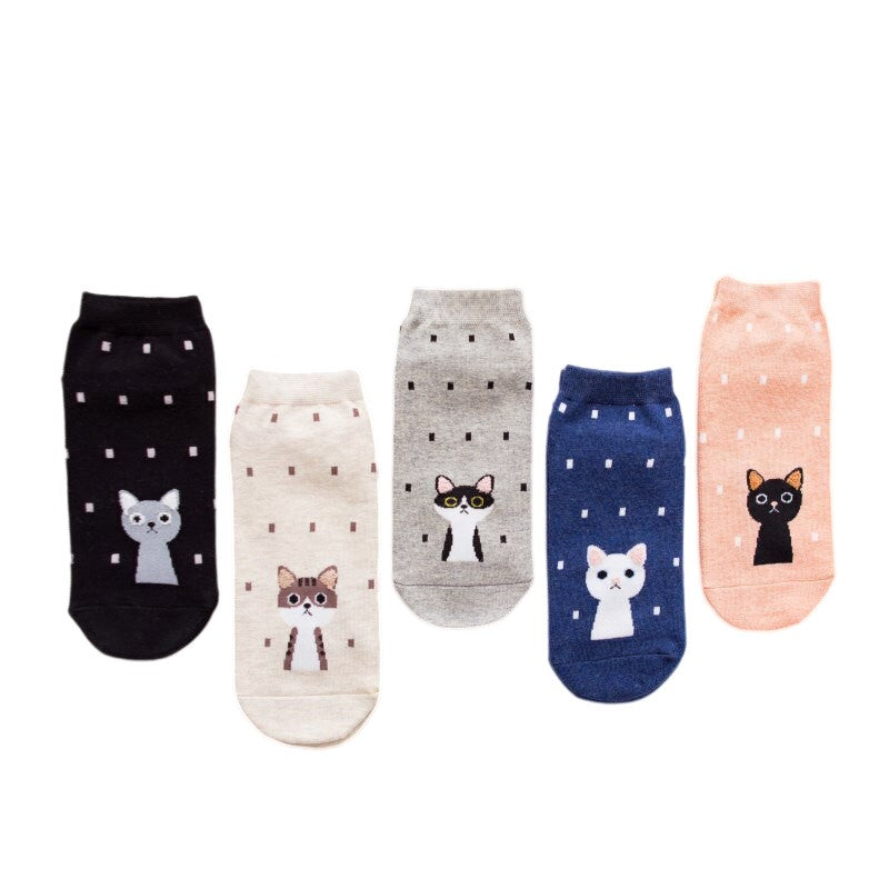Anyfootwear 5 Pairs One Size 5-9 Kitty Spring Summer Fashion Women Cotton Sox Cartoon Cute Girl Happy Funny Socks
