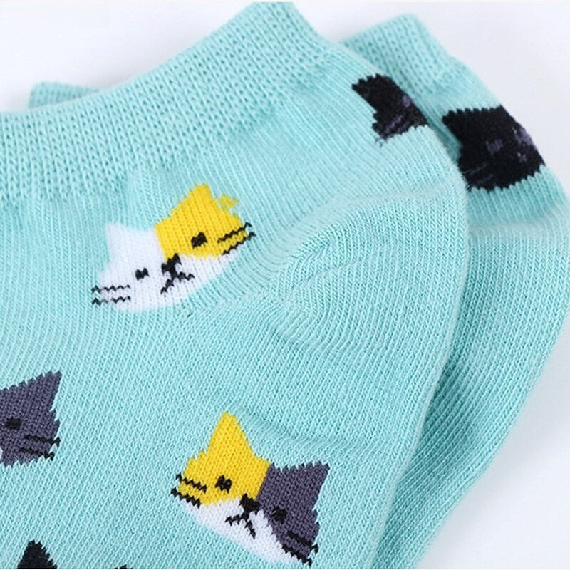 Anyfootwear 5 Pairs One Size 5-9 Candy Color Kitten Summer Invisible Female Fashion Casual Cute Cartoon Short Cotton Ladies Dropship