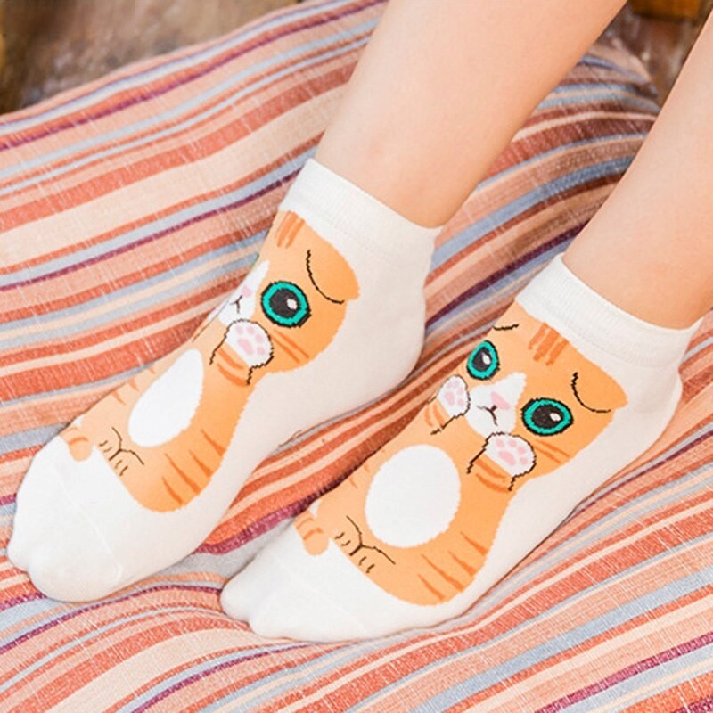 Anyfootwear  5 Pairs One Size 5-9 Rainbow Color Kitten Spring Summer Fashion Women Cotton Socks Cartoon Cute Girl Happy Funny Socks
