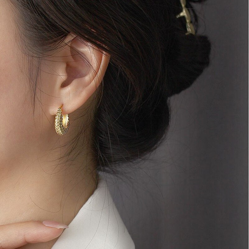 ANYCO Hoop Fashion Earrings  Punk French Statement Huggies Women Hip Hop Charming Party Jewelry Sterling Silver