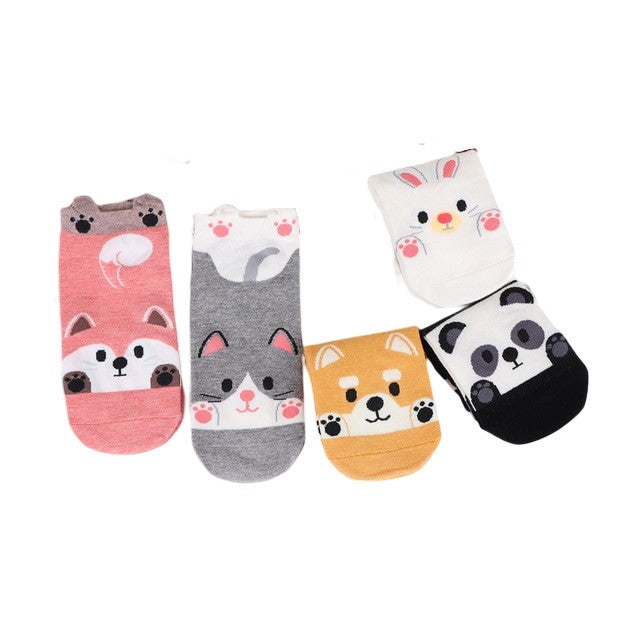 Anyfootwear 5 Pairs One Size 5-9 Candy Color Pets Spring Summer Fashion Women Cotton Sox Cartoon Cute Girl Happy Funny Socks