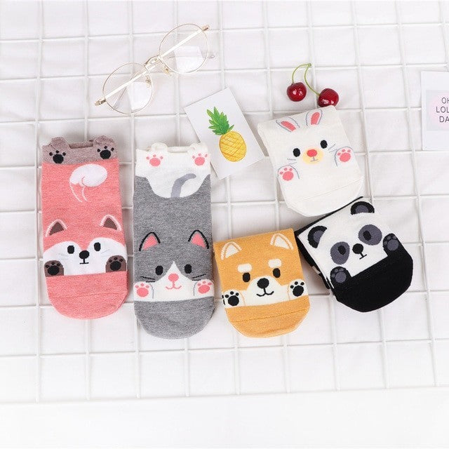 Anyfootwear 5 Pairs One Size 5-9 Candy Color Pets Spring Summer Fashion Women Cotton Sox Cartoon Cute Girl Happy Funny Socks