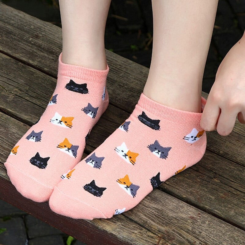 Anyfootwear 5 Pairs One Size 5-9 Candy Color Kitten Summer Invisible Female Fashion Casual Cute Cartoon Short Cotton Ladies Dropship