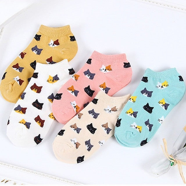 Anyfootwear 5 Pairs One Size 5-9 Candy Color Kitten Summer Invisible Female Fashion Casual Cute Cartoon Short Cotton Ladies Dropship