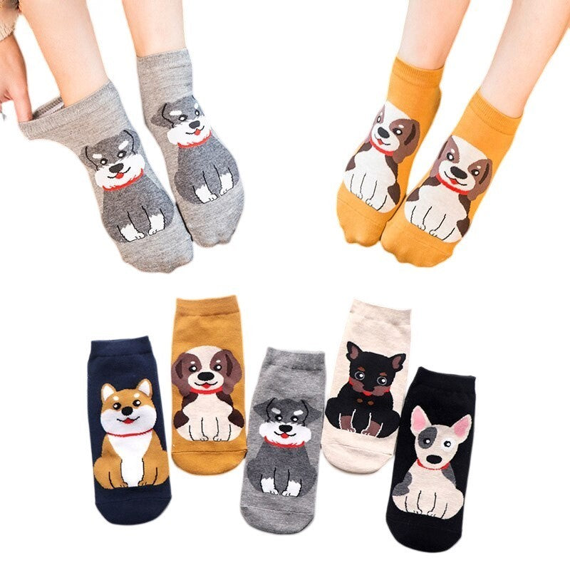 Anyfootwear  5 Pairs One Size 5-9 Multicolor Dog Spring Summer Fashion Women Cotton Sox Cartoon Cute Girl Happy Funny Socks