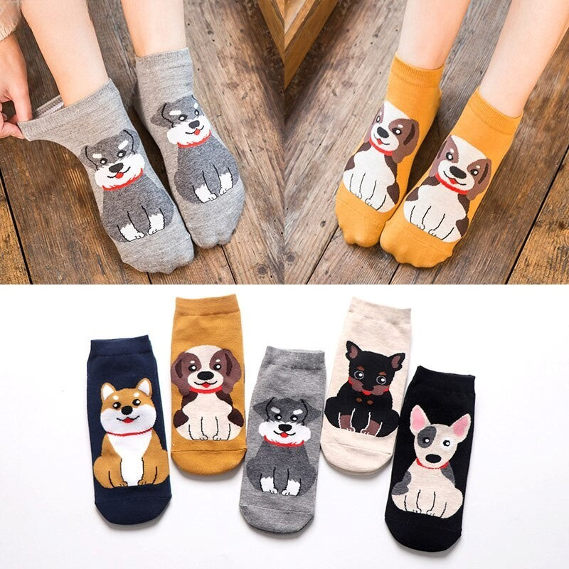Anyfootwear  5 Pairs One Size 5-9 Multicolor Dog Spring Summer Fashion Women Cotton Sox Cartoon Cute Girl Happy Funny Socks
