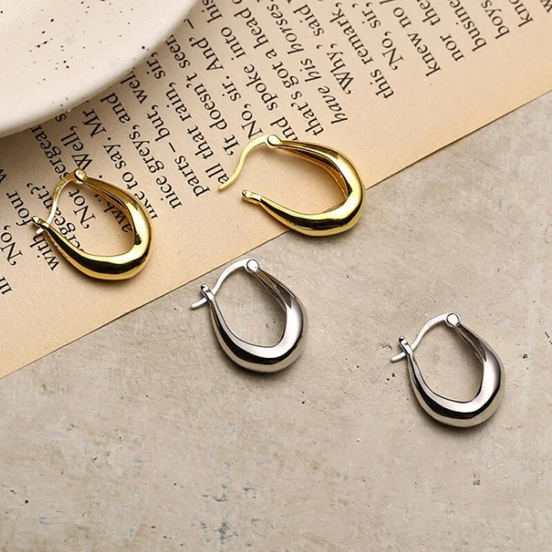 ANYCO Fashion Earrings 925 Sterling Silver Statement French Simple Rock for Women Unique Charm Gothic Hip Hop Piercing Jewelry
