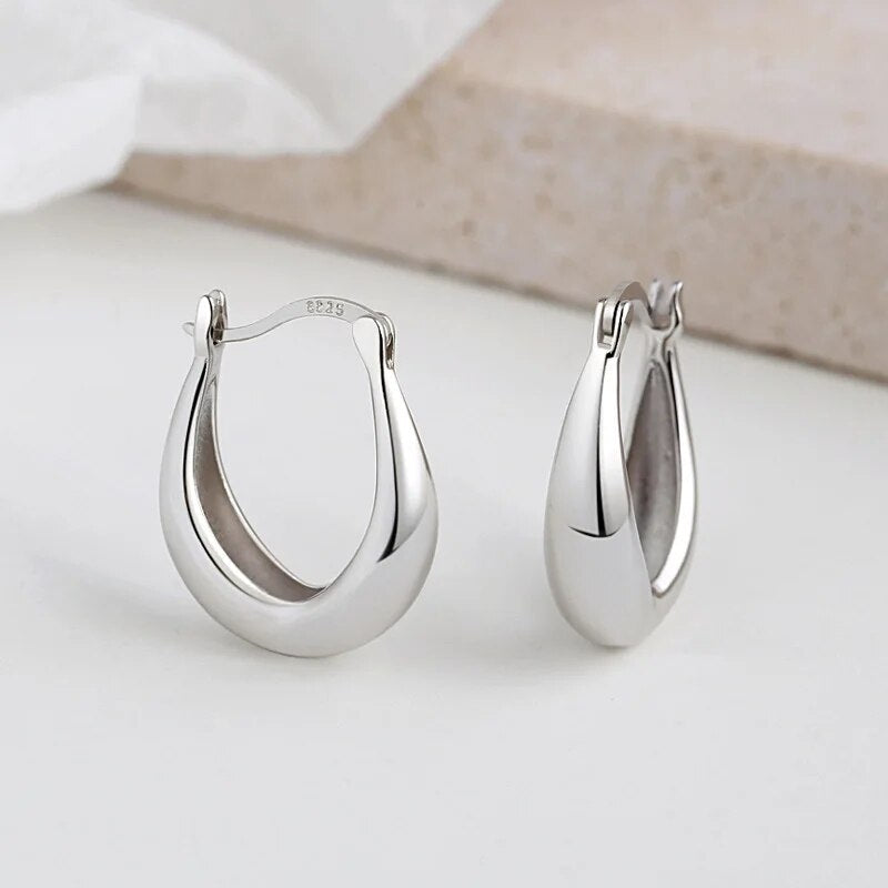 ANYCO Fashion Earrings 925 Sterling Silver Statement French Simple Rock for Women Unique Charm Gothic Hip Hop Piercing Jewelry
