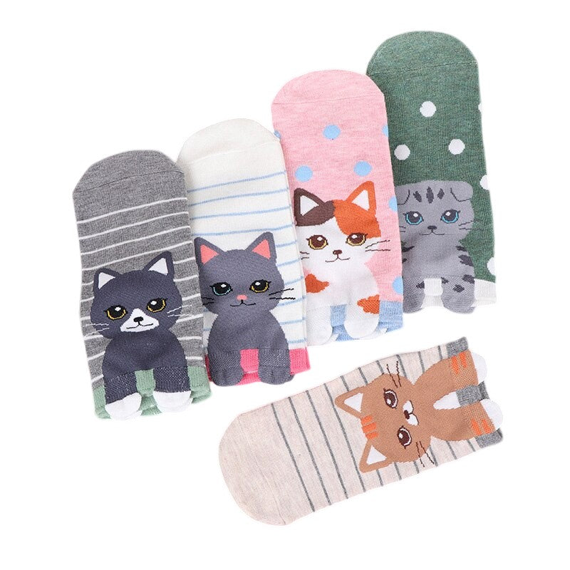 Anyfootwear  5 Pairs One Size 5-9 Rainbow Color Kitten Spring Summer Fashion Women Cotton Socks Cartoon Cute Girl Happy Funny Socks