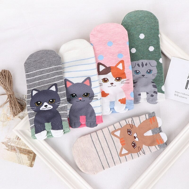 Anyfootwear  5 Pairs One Size 5-9 Rainbow Color Kitten Spring Summer Fashion Women Cotton Socks Cartoon Cute Girl Happy Funny Socks