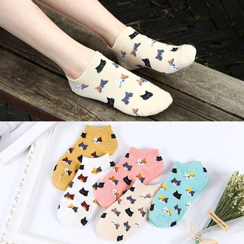 Anyfootwear 5 Pairs One Size 5-9 Candy Color Kitten Summer Invisible Female Fashion Casual Cute Cartoon Short Cotton Ladies Dropship