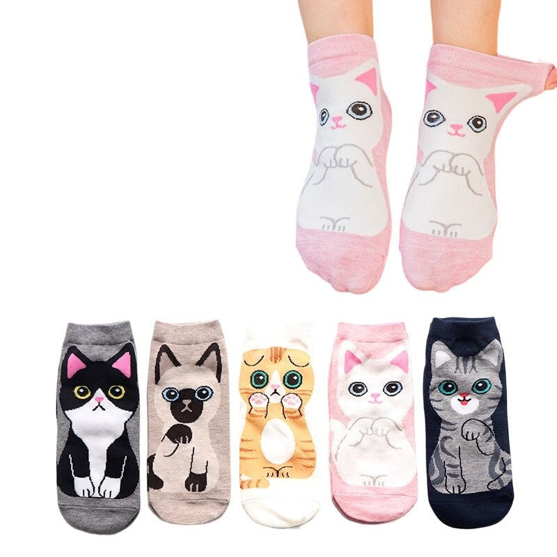 Anyfootwear 5 Pairs One Size 5-9 Multicolor Cat Spring Summer Fashion Women Cotton Sox Cartoon Cute Girl Happy Funny Socks