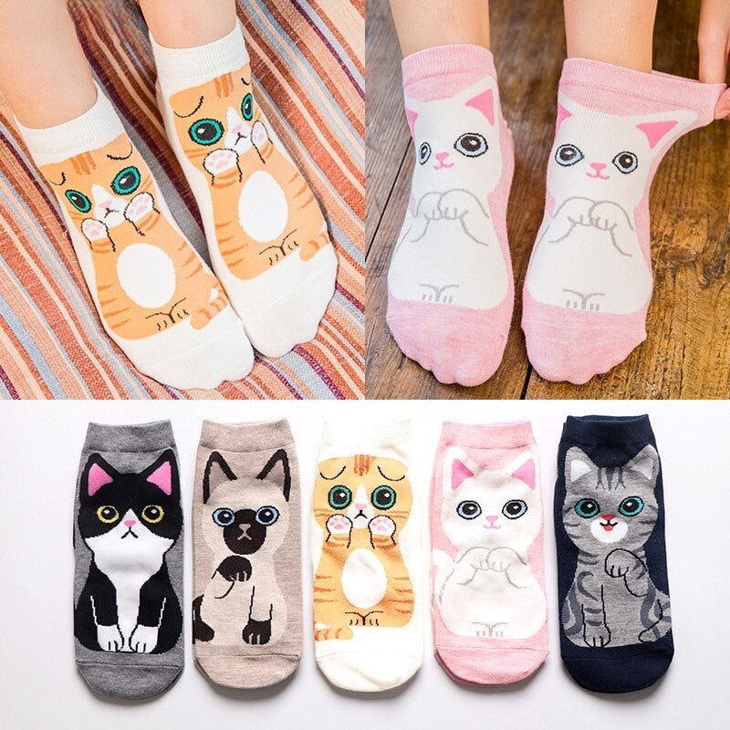 Anyfootwear 5 Pairs One Size 5-9 Multicolor Cat Spring Summer Fashion Women Cotton Sox Cartoon Cute Girl Happy Funny Socks