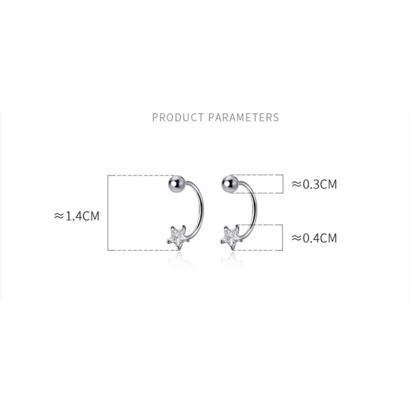 ANYCO Fashion Earrings Silver Star Zircon 925 Sterling Romantic Unique Bead Stud for Women Piercing Jewelry